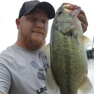 Meet your Posher, Wade